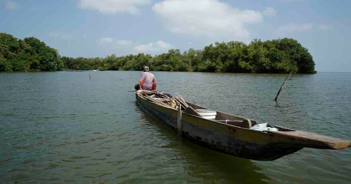 Manglares de la Ciénaga Grande de Santa Marta