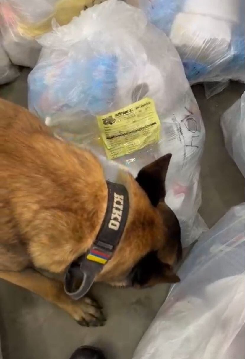 Las encomiendas que aparecieron en el camión.