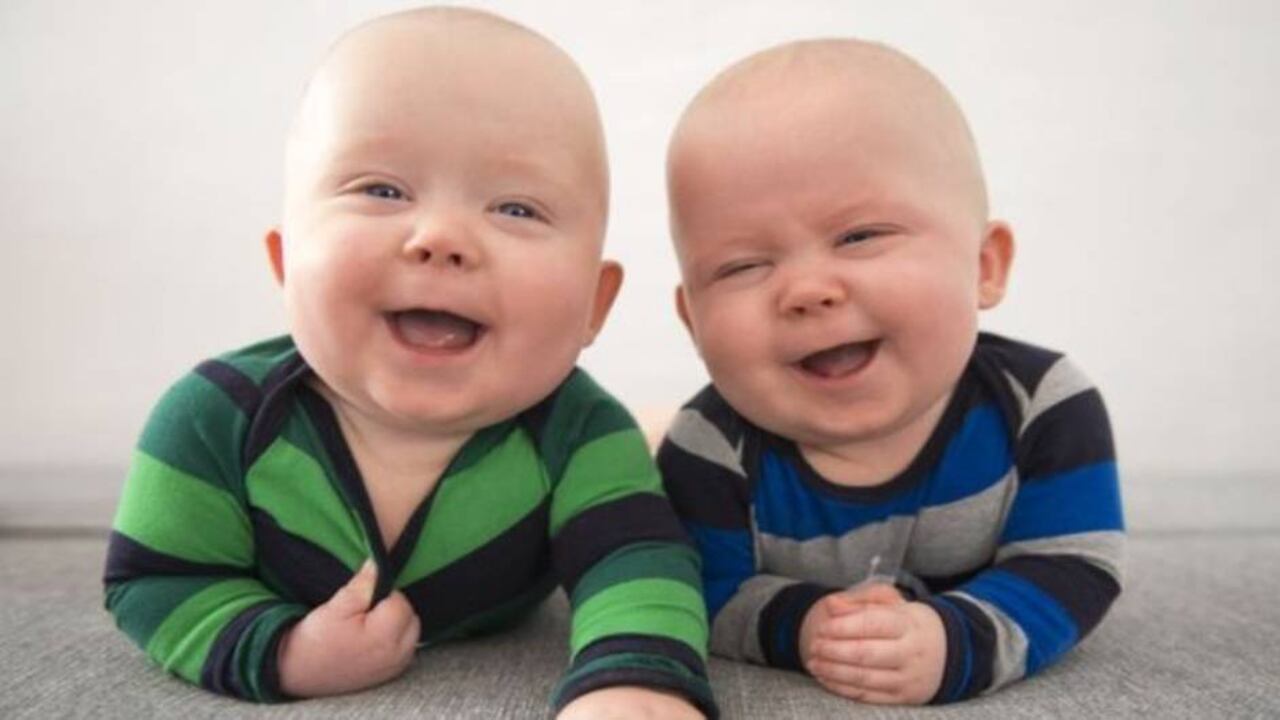 Los gemelos proceden del mismo óvulo, mientras los mellizos se forman a partir de un óvulo cada uno. Foto: Getty.