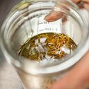 Aceite de caléndula