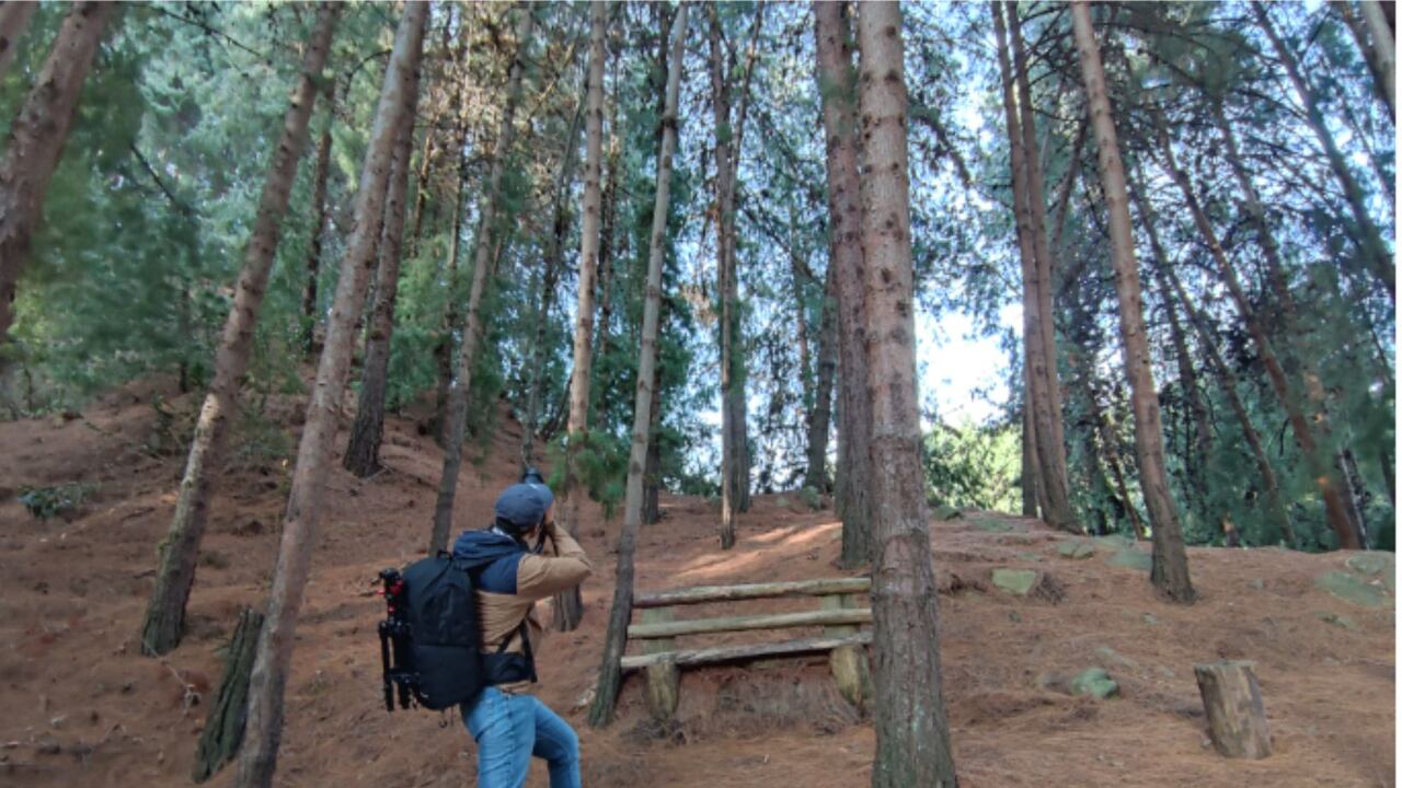 Reabren uno de los senderos más populares de los cerros orientales de Bogotá: así es posible agendar la visita