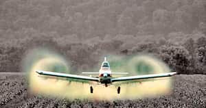 Desde octubre de 2015, el gobierno nacional, a través del Ministerio de Salud, suspendió indefinidamente la aspersión aérea con glifosato. Foto: archivo/Semana.