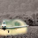 Desde octubre de 2015, el gobierno nacional, a través del Ministerio de Salud, suspendió indefinidamente la aspersión aérea con glifosato. Foto: archivo/Semana.