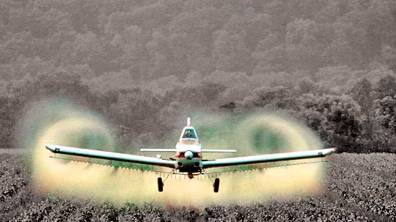 Desde octubre de 2015, el gobierno nacional, a través del Ministerio de Salud, suspendió indefinidamente la aspersión aérea con glifosato. Foto: archivo/Semana.