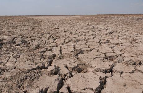 Estudios apuntan que para extraer petróleo se gastan miles de litros de agua, que normalmente están destinados para el consumo animal o humano, en algunos casos (Wilson Durán / laschivasdelllano.com).