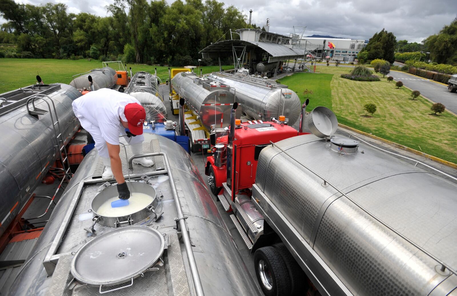 Los precios de la leche no han logrado estabilizarse en el mercado colombiano.