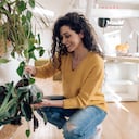 Descubriendo las claves para mantener el esplendor y la salud de las plantas.