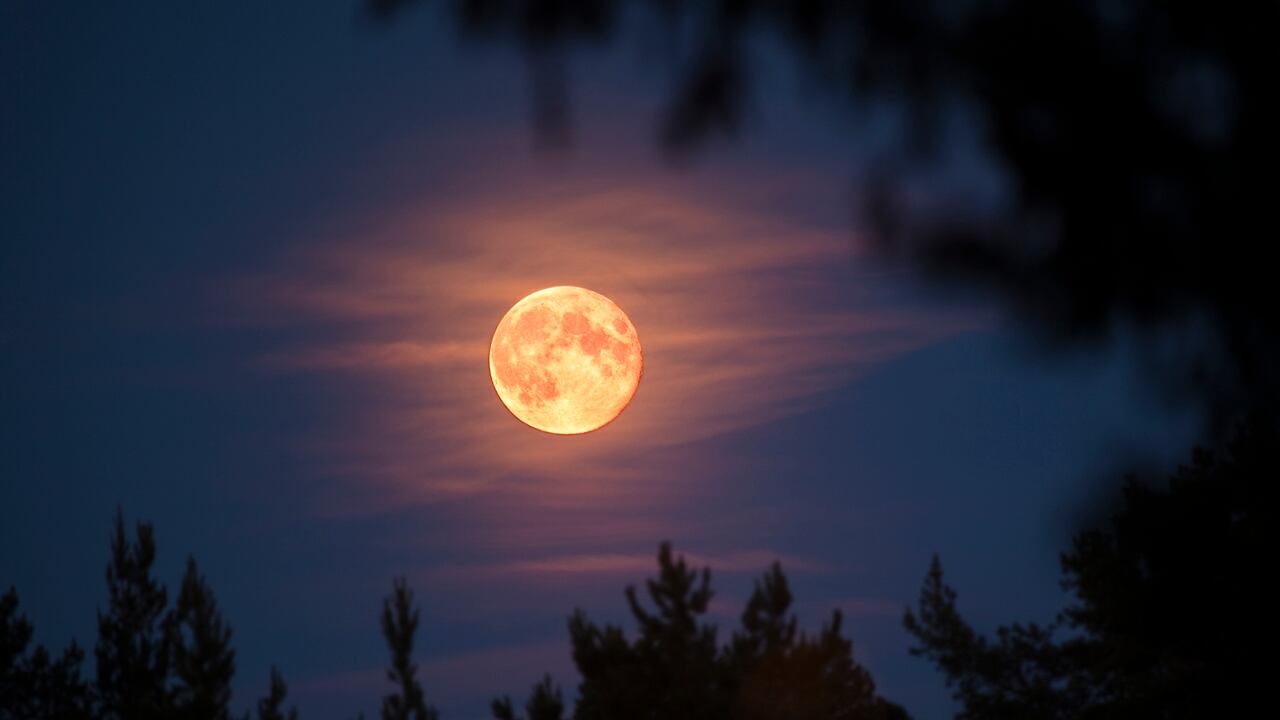 La exploración lunar avanza con una propuesta que recurre a robots especializados para enfrentar condiciones hostiles inéditas.