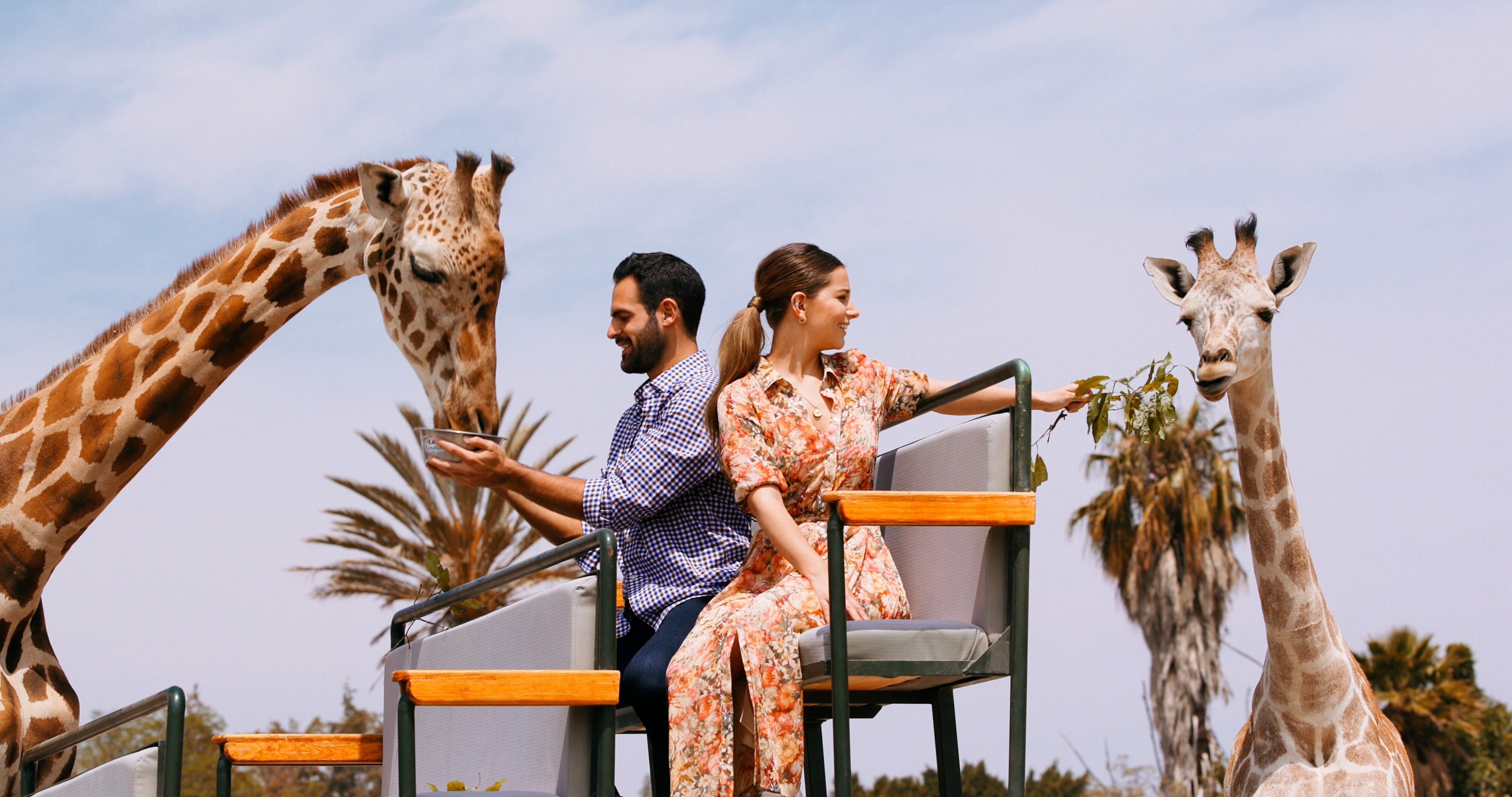 Película 'De vuelta a casa', de Lifetime.