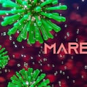 Marburg virus