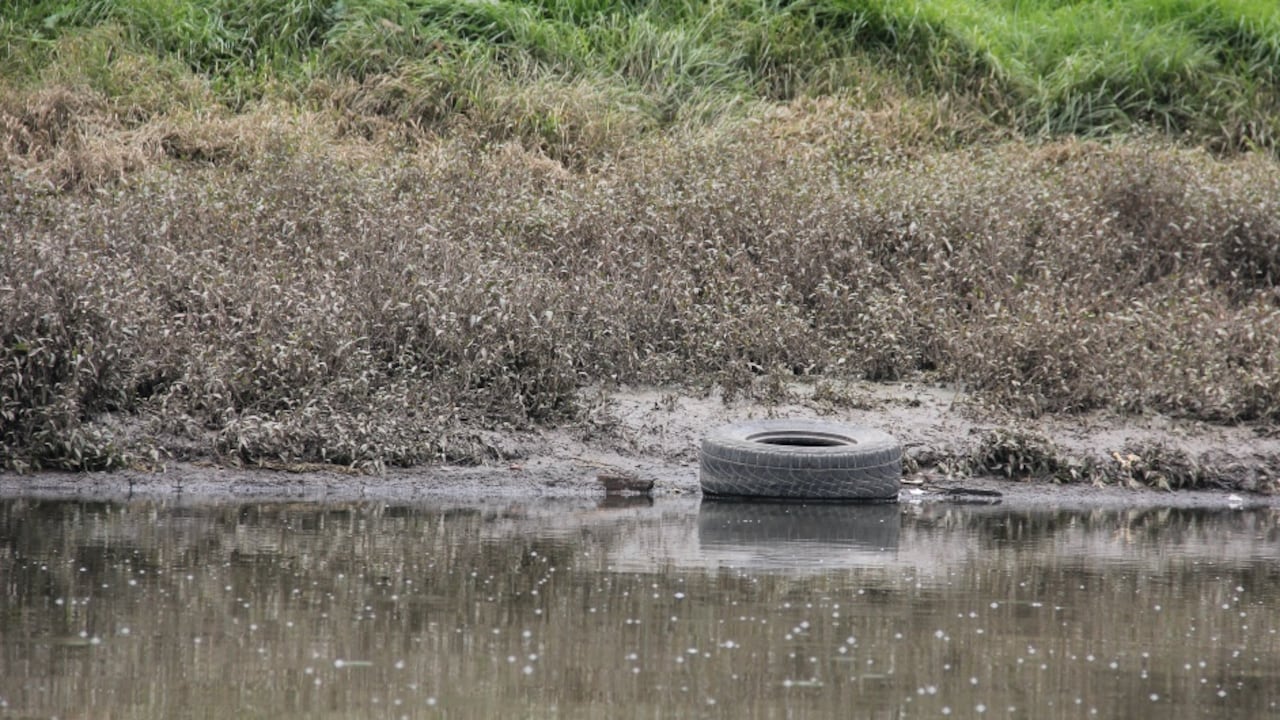 Solo 11 kilómetros del río Bogotá tienen agua cristalina.
