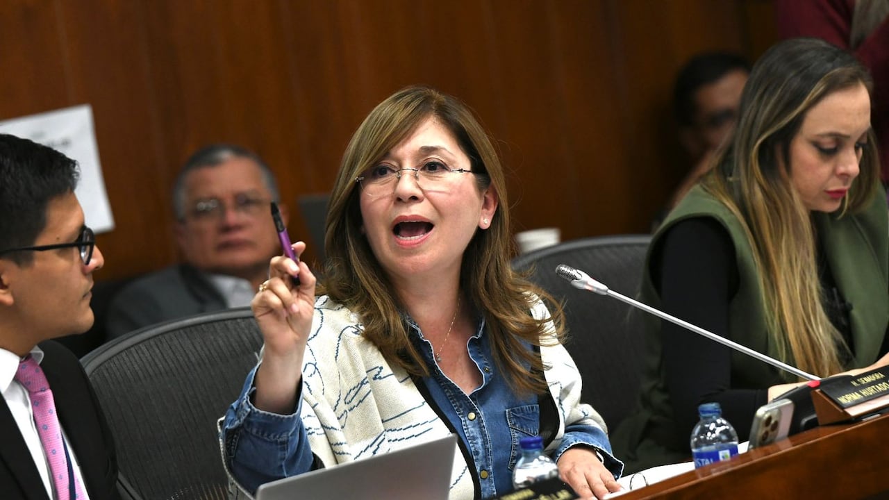 Senadora Norma Hurtado.