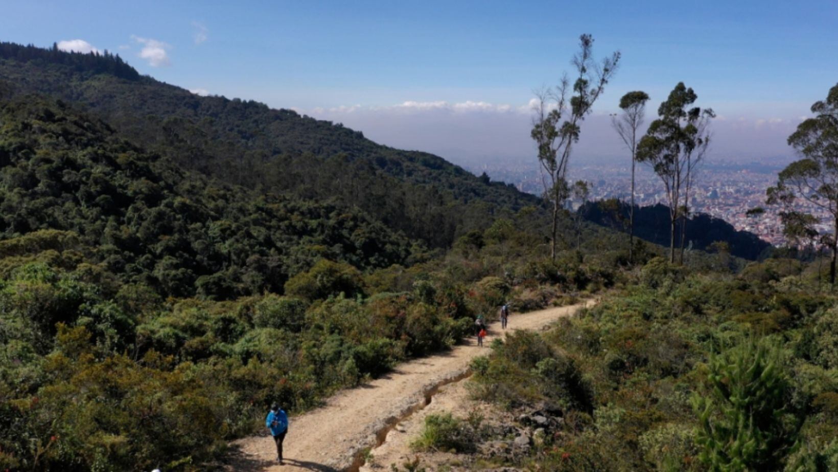 Senderos para recorrer en Bogotá