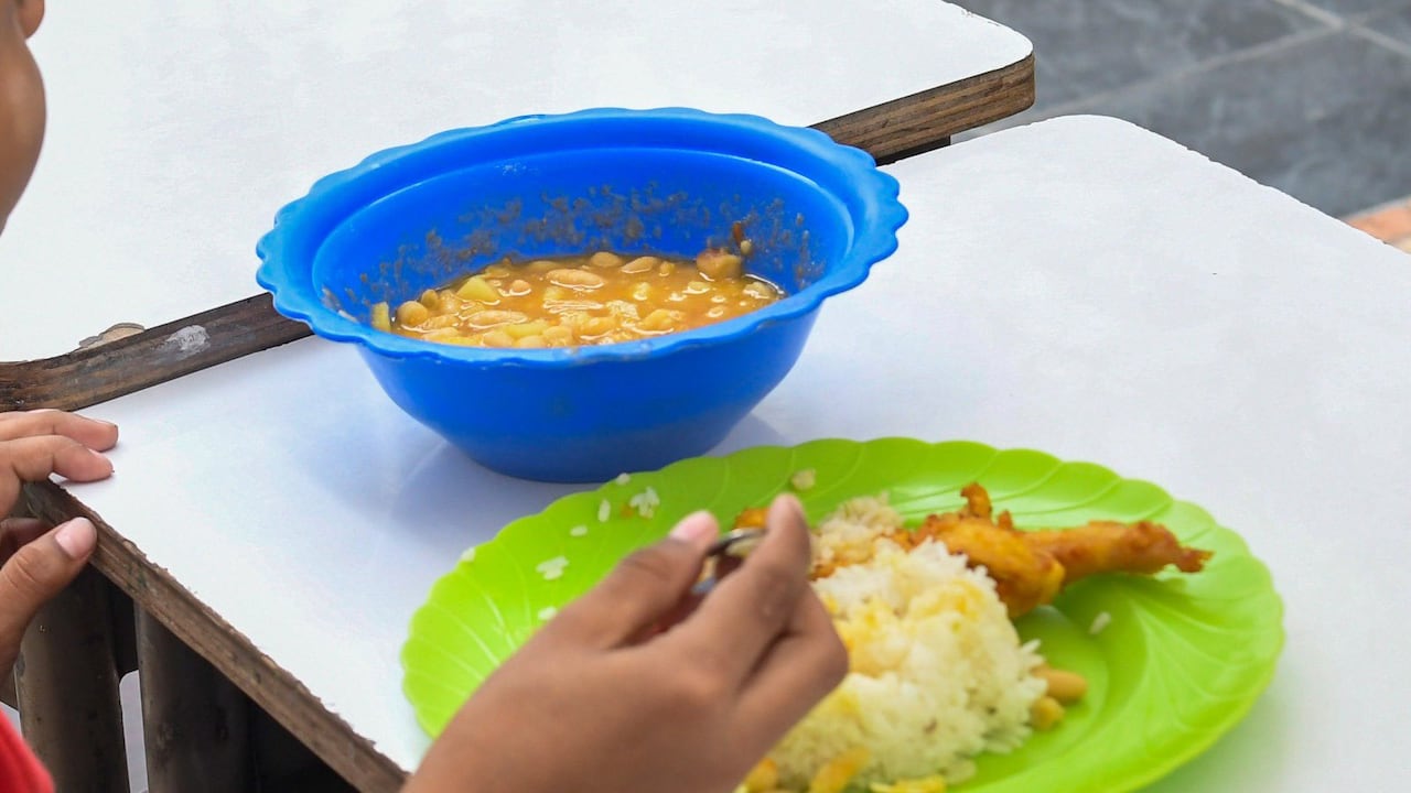 Plan de alimentación escolar. Imagen de referencia.