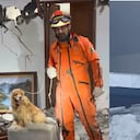 Las mascotas que han sido rescatadas, tras el terremoto de 7,4 en Colombia.