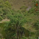 Pachavita, Boyacá