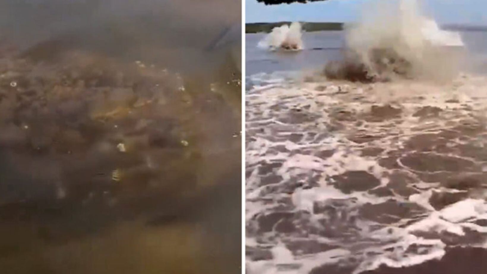 Hombre vivió momentos de pánico en el río Amazonas; fue atacado por extraña criatura