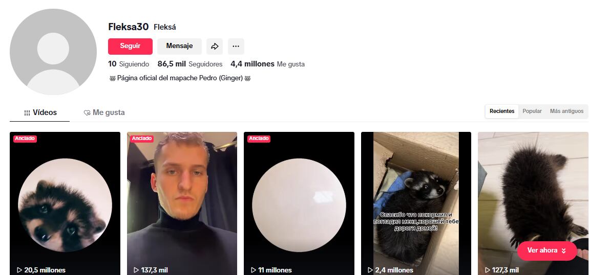 Un video de TikTok revivió el éxito disco “Pedro” de Raffaella Carrà, transformándolo en un fenómeno cultural.