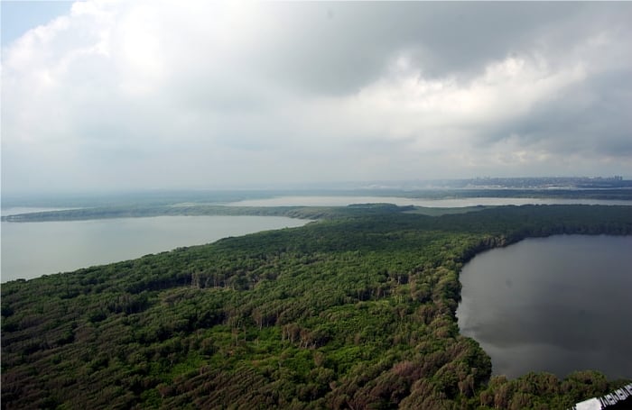Durante los fríos inviernos de norteamérica, Salamanca se convierte durante tres o cuatro meses en el aeropuerto de miles de aves que aterrizan en sus manglares y lagunas. Es uno de los principales lugares de avistamiento de aves migratorias en el mundo