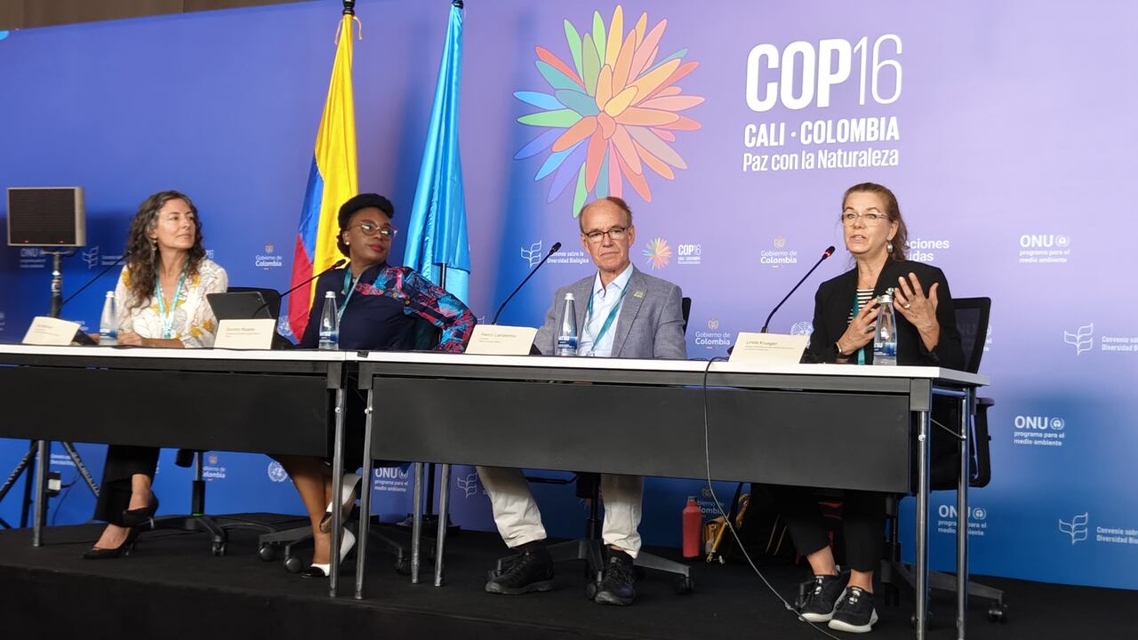COP16 CALI