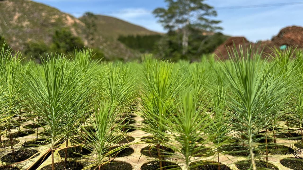 La expansión industrial busca aumentar la capacidad productiva.