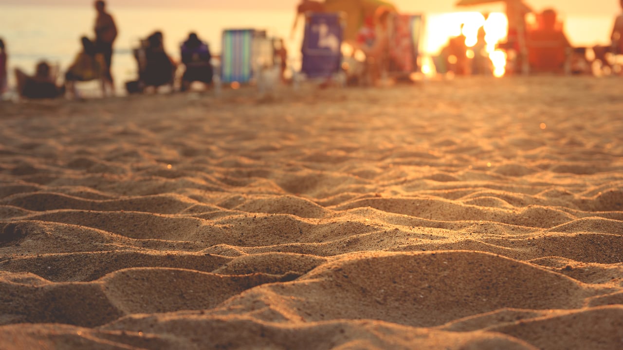 Imagen tomada al aire libre, a plena luz del día, en verano. Piriápolis, Uruguay