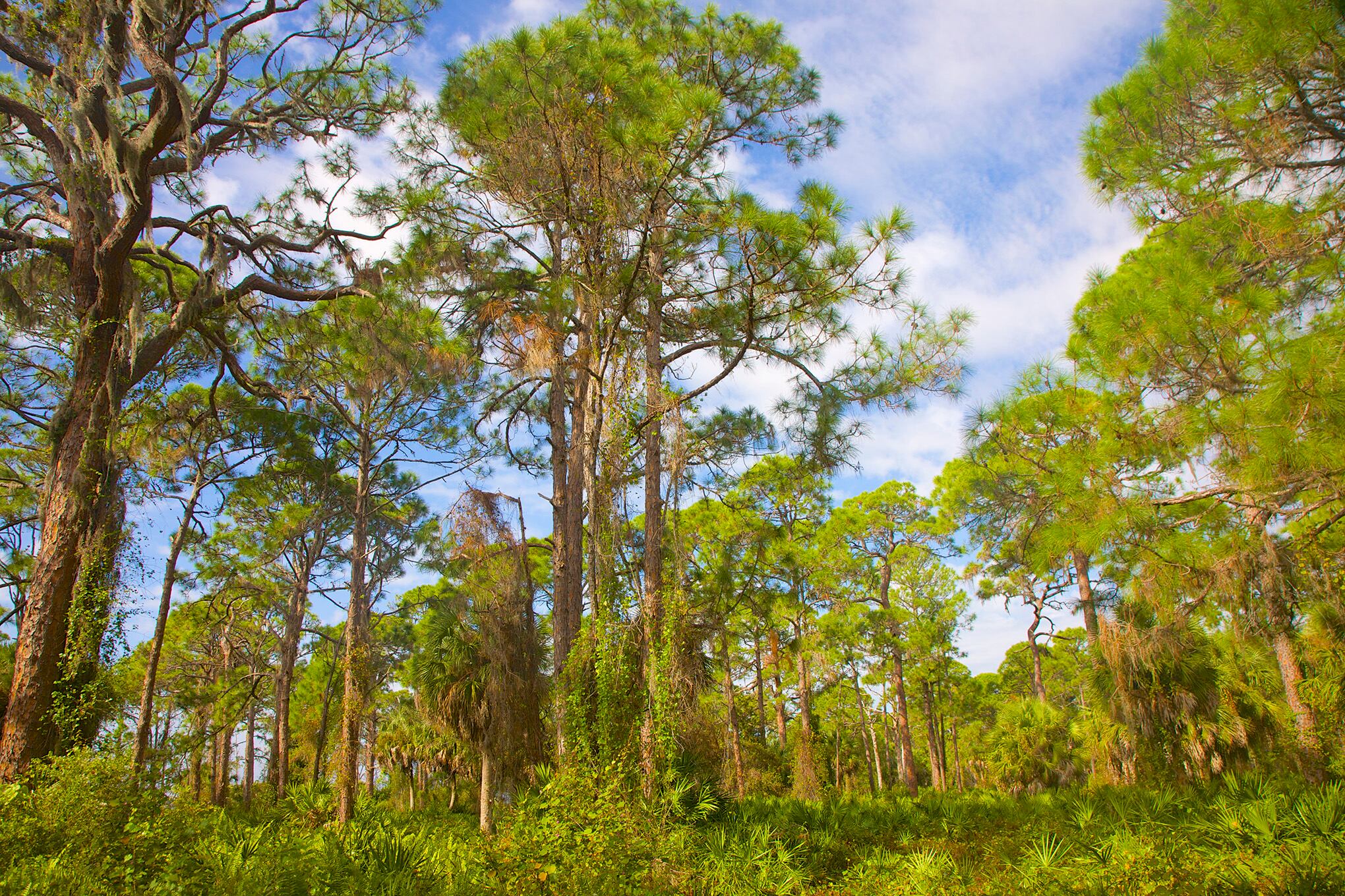 Una carrera en donde todos ganan