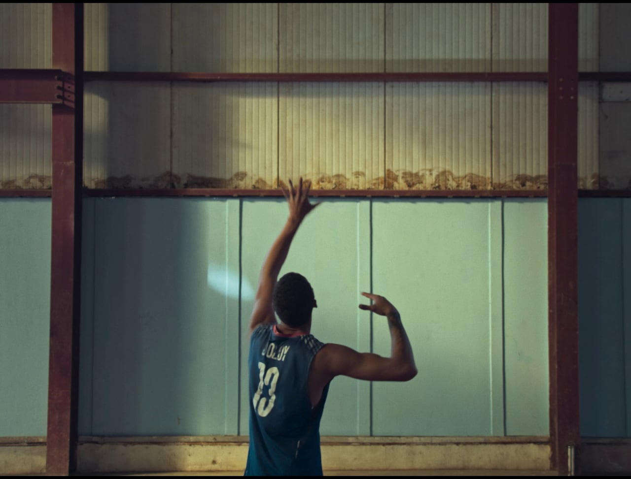 Leinad Pájaro de la Hoz - Un pájaro voló