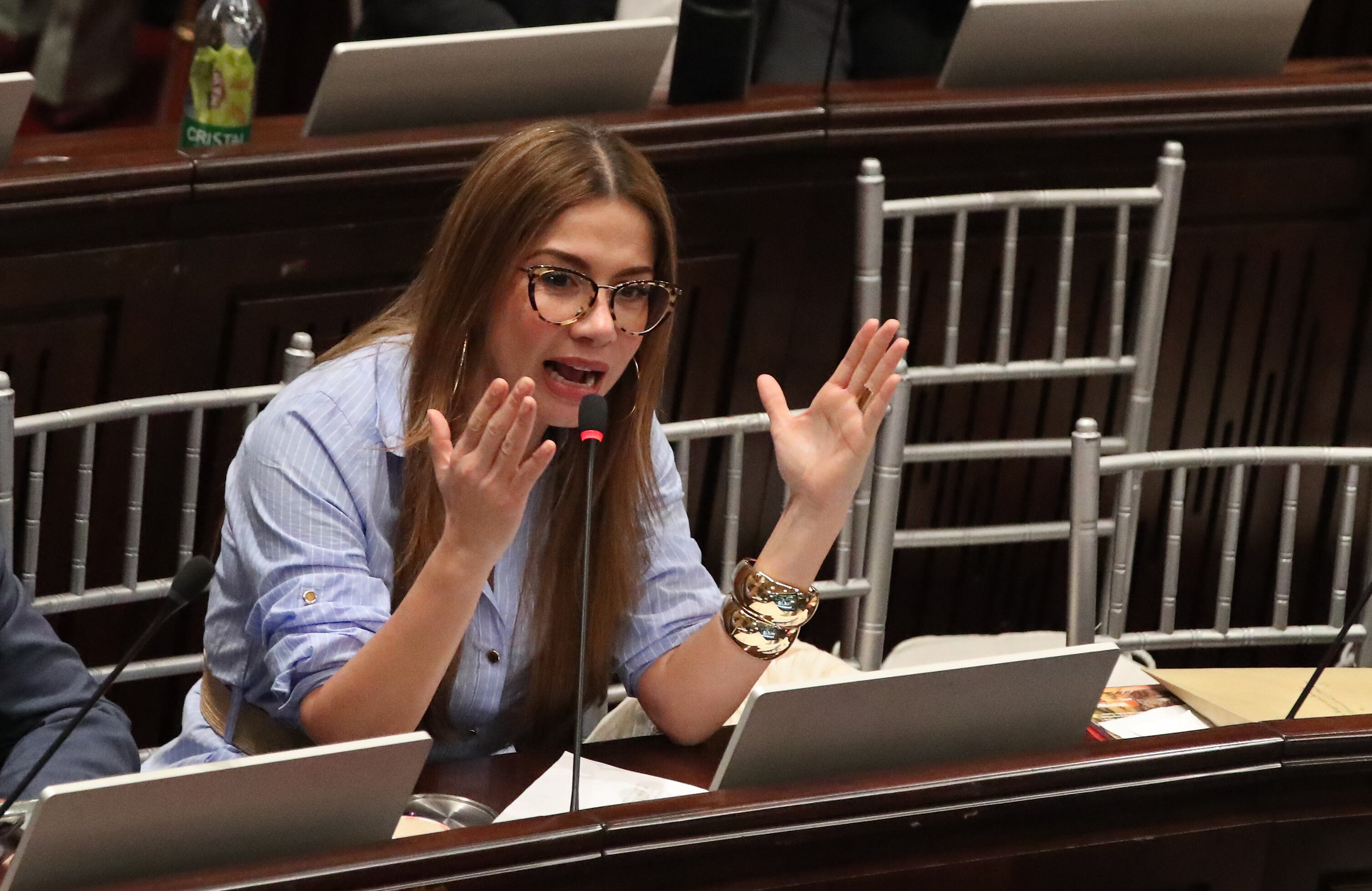 Catherine Juvinao representante a la Camara por la Alianza Verde. 
Cathy Juvinao
 Cámara de Representantes para el tercer periodo legislativo
Bogota 20 de julio del 2024
Foto Guillermo Torres Reina / Semana