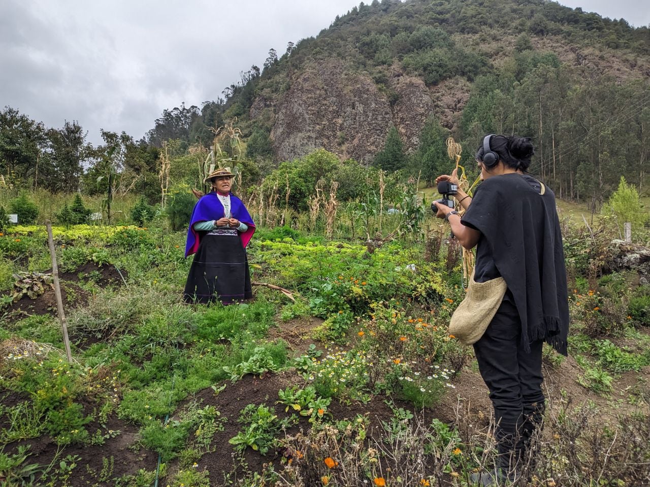 Este archivo digital propone un territorio que reconoce sus 65 lenguas indígenas, dos criollas y el romaní.