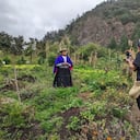 Este archivo digital propone un territorio que reconoce sus 65 lenguas indígenas, dos criollas y el romaní.