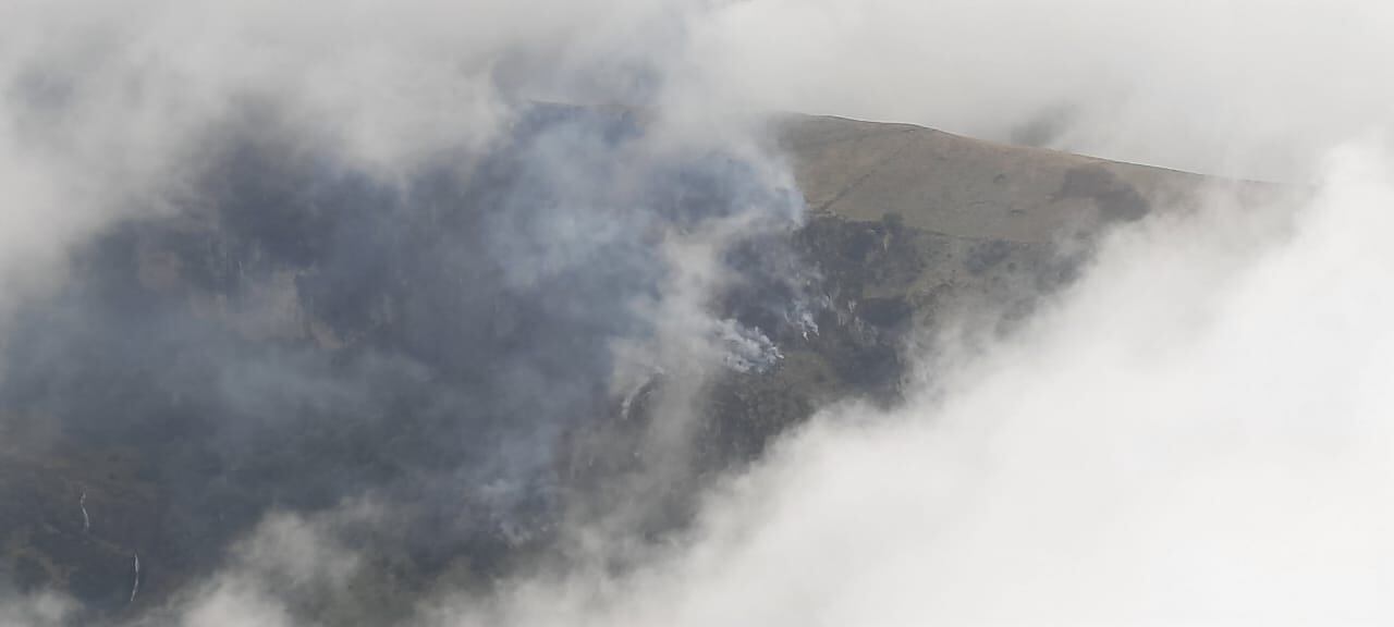 Bomberos de diferentes municipios trabajan para controlar las llamas.