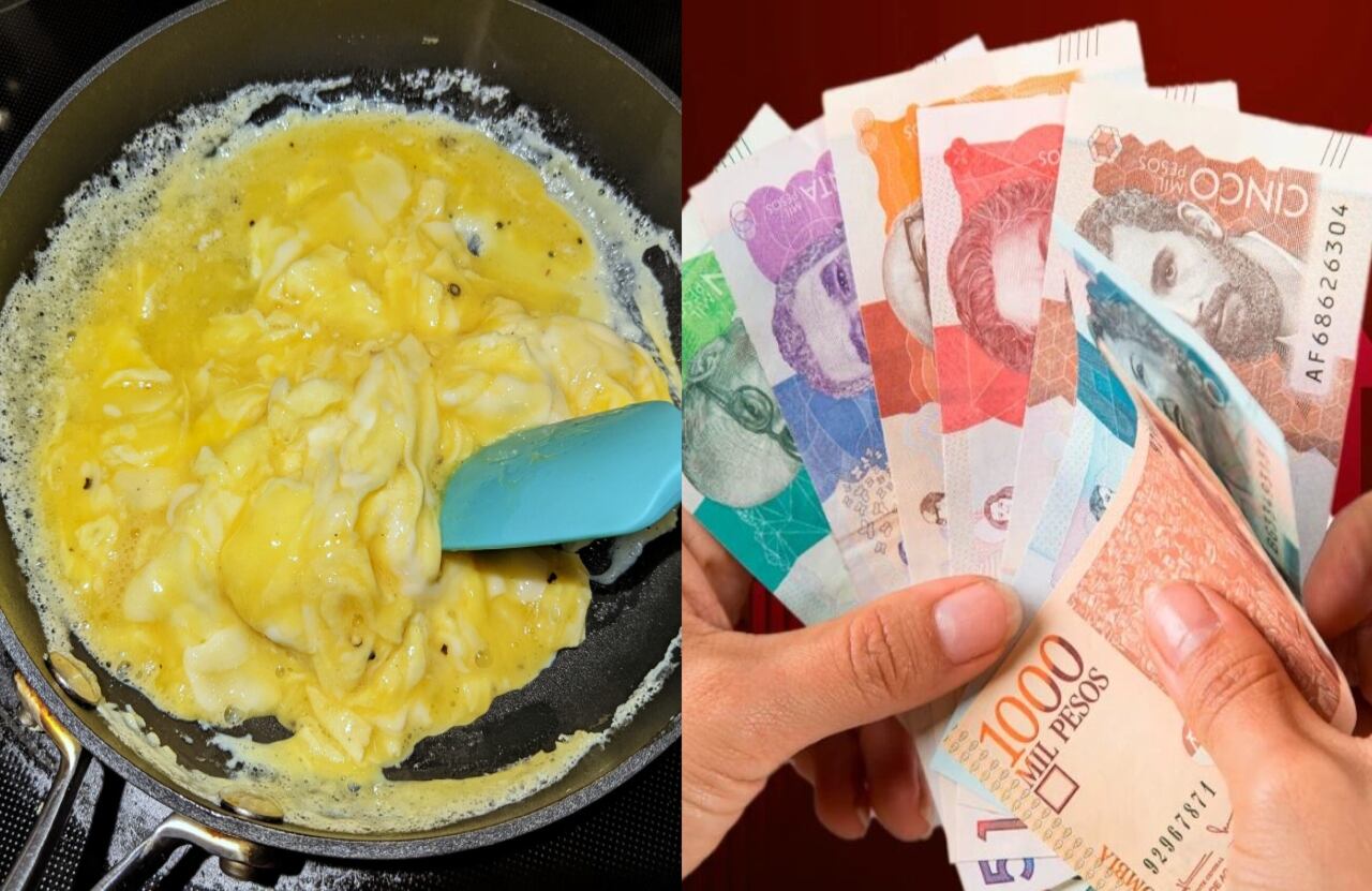 Para tratar de estimar cuánto podría costar el huevo el próximo año, es necesario tener en cuenta dos variables.