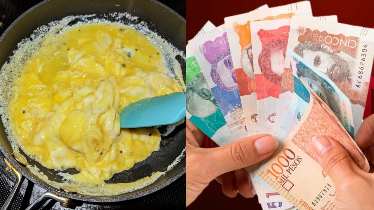 Para tratar de estimar cuánto podría costar el huevo el próximo año, es necesario tener en cuenta dos variables.