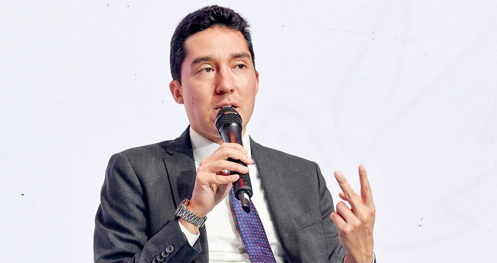 luis fernando mejía Director de Fedesarrollo