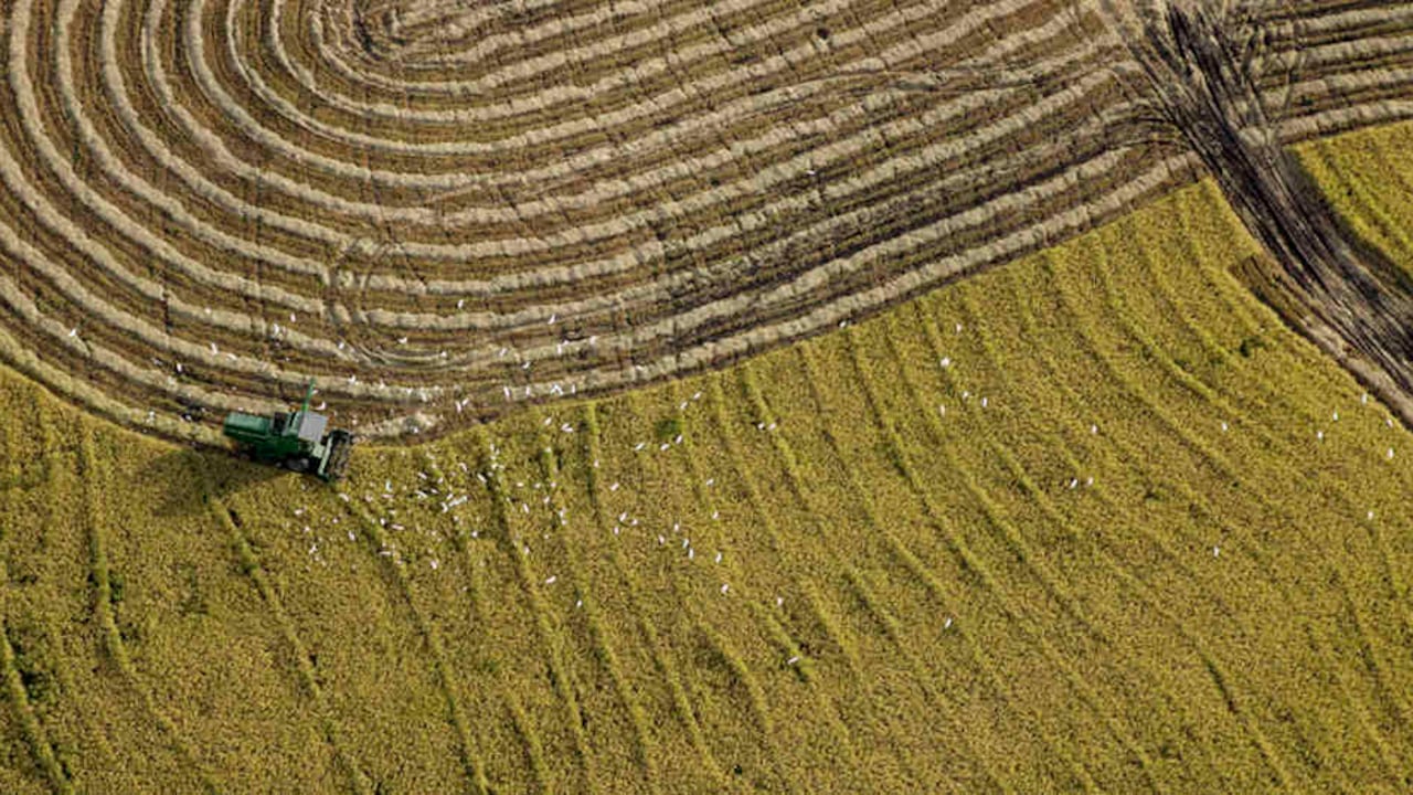 Desde su llegada masiva a Colombia a medidos del siglo XX, los tractores han transformado las dinámicas en el campo colombiano.
