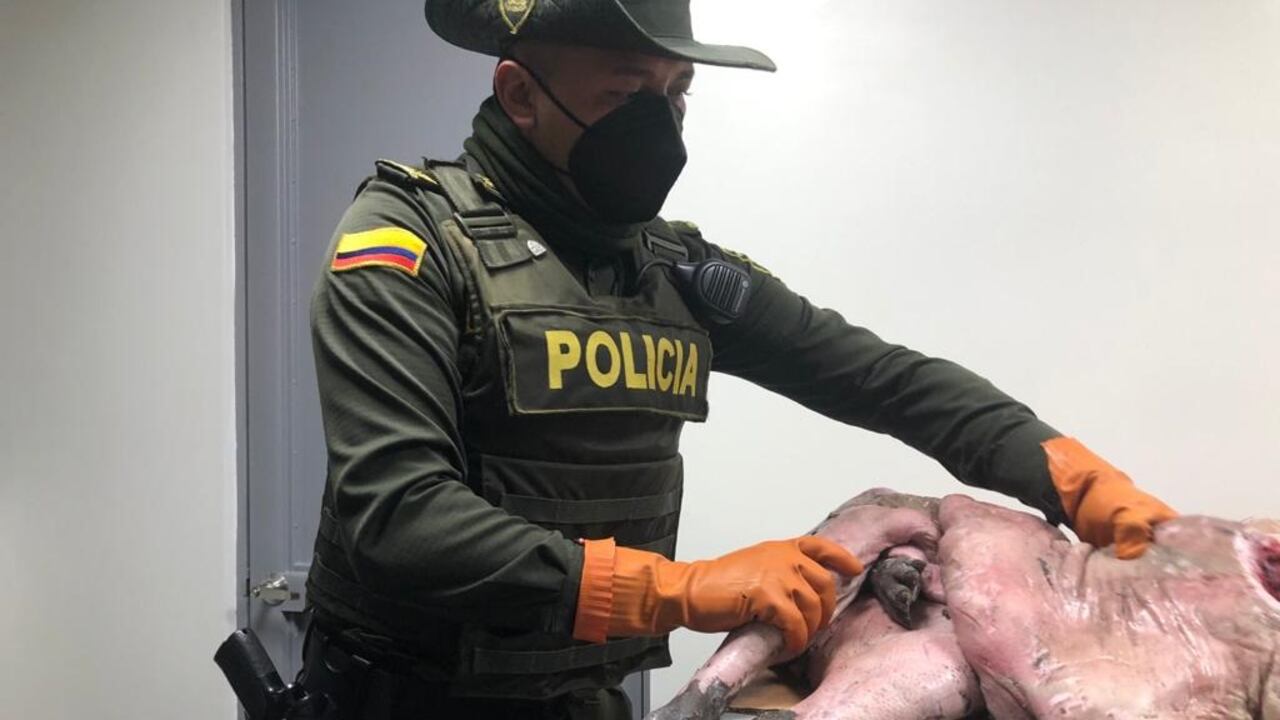 Policía Fiscal y Aduanera desarticulando contrabando de animales y comida.