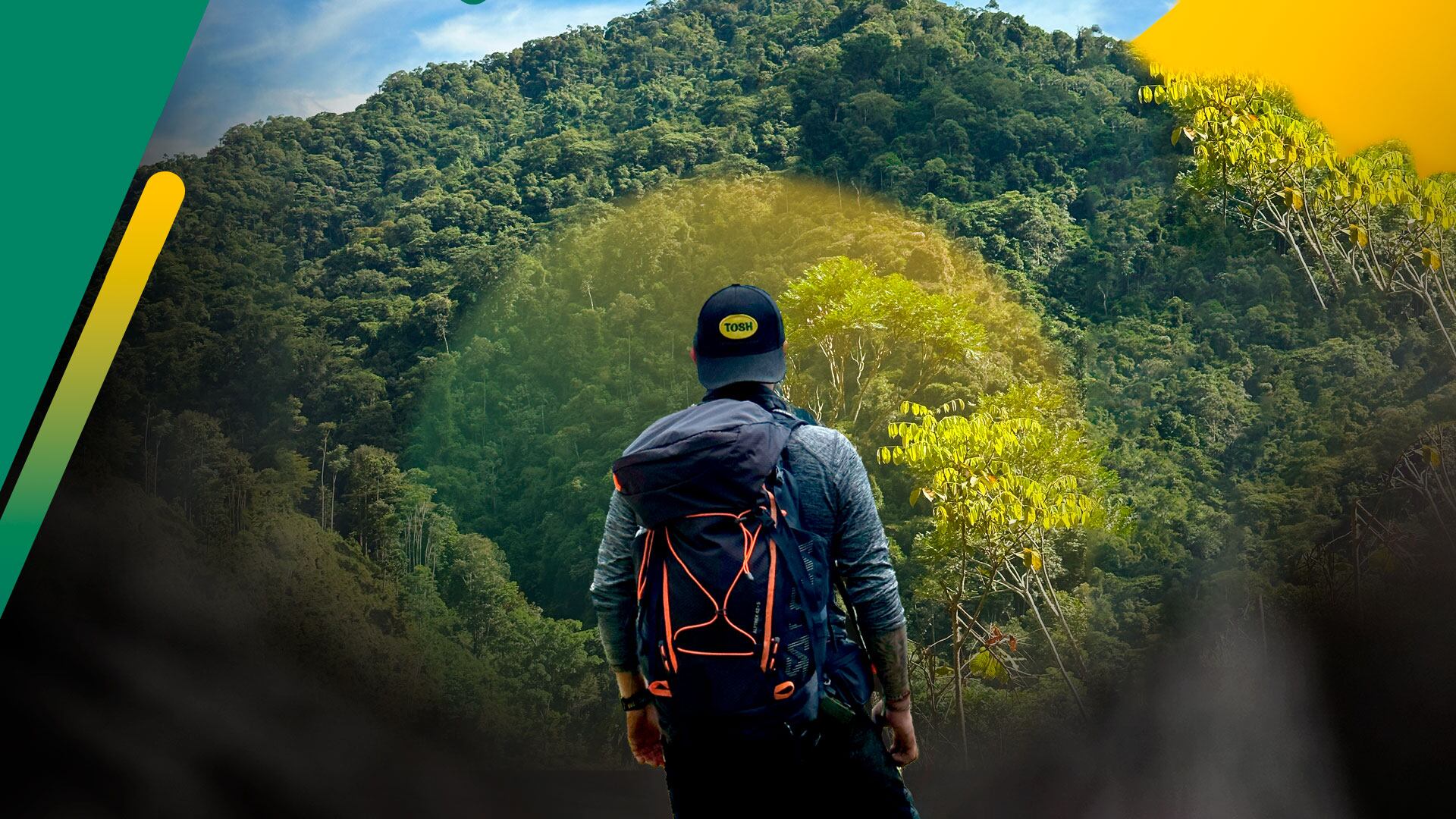 El camino de Tosh para convertirse en una marca carbono neutral