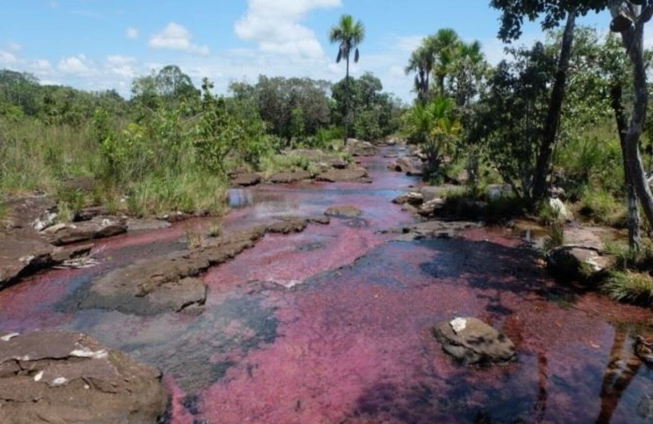 Caño Sabana