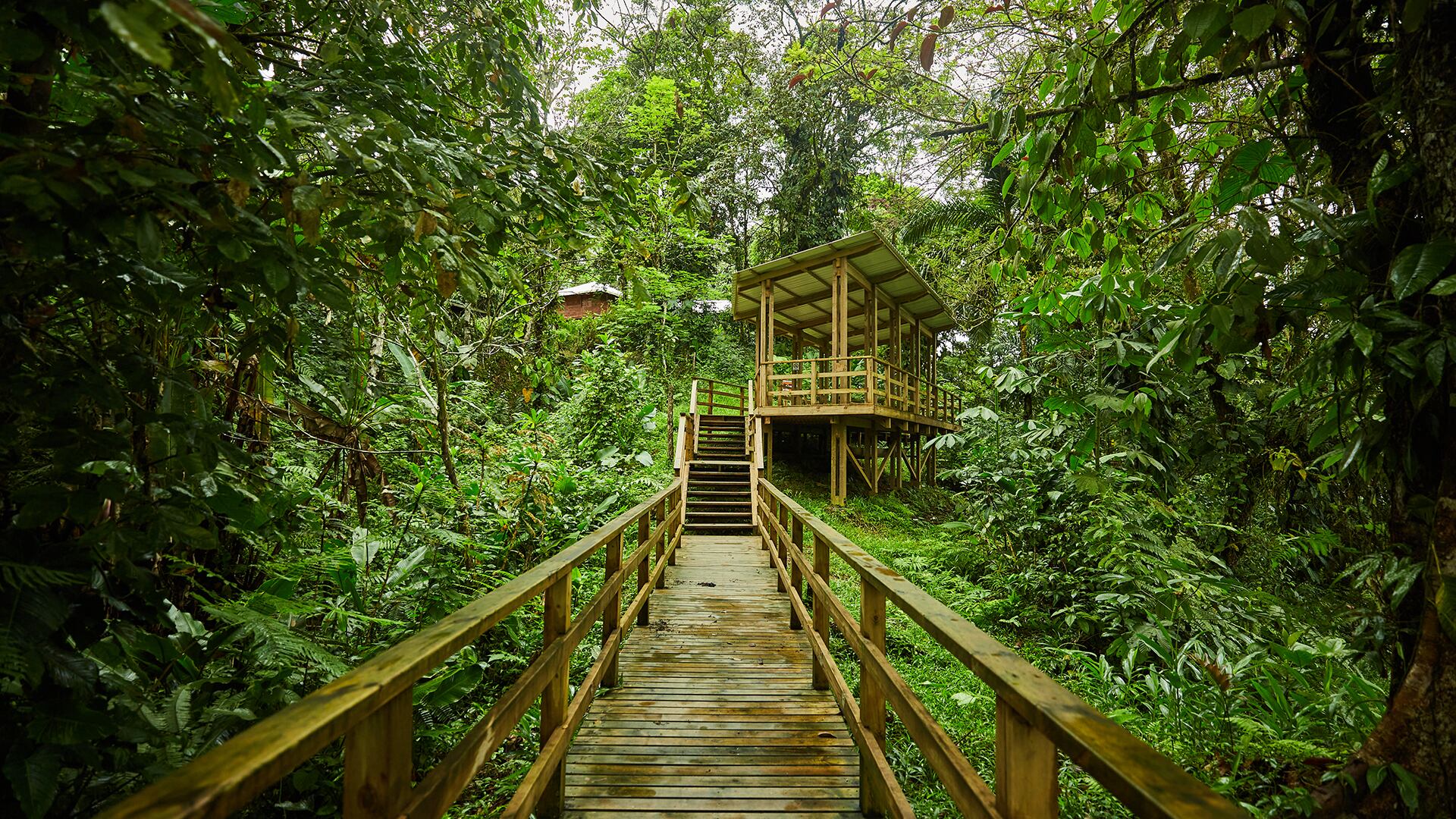 Tutunendo ha sido declarado como uno de los sitios de mayor pluviosidad y biodiversidad del Pacífico colombiano y como una importante área de conservación.