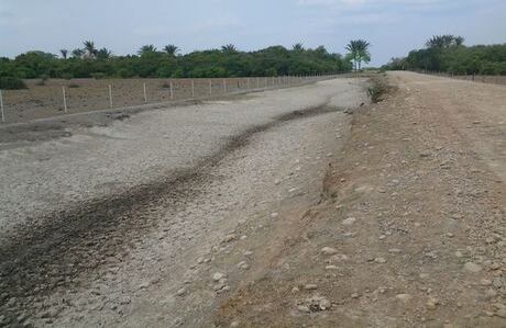 Especialistas señalan que la deforestación es el principal causante de la sequía extrema de Casanare (Wilson Durán / laschivasdelllano.com).