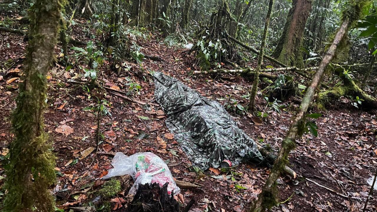 10 disidentes de las 'Mordisco' murieron en medio de operativo militar en Meta.