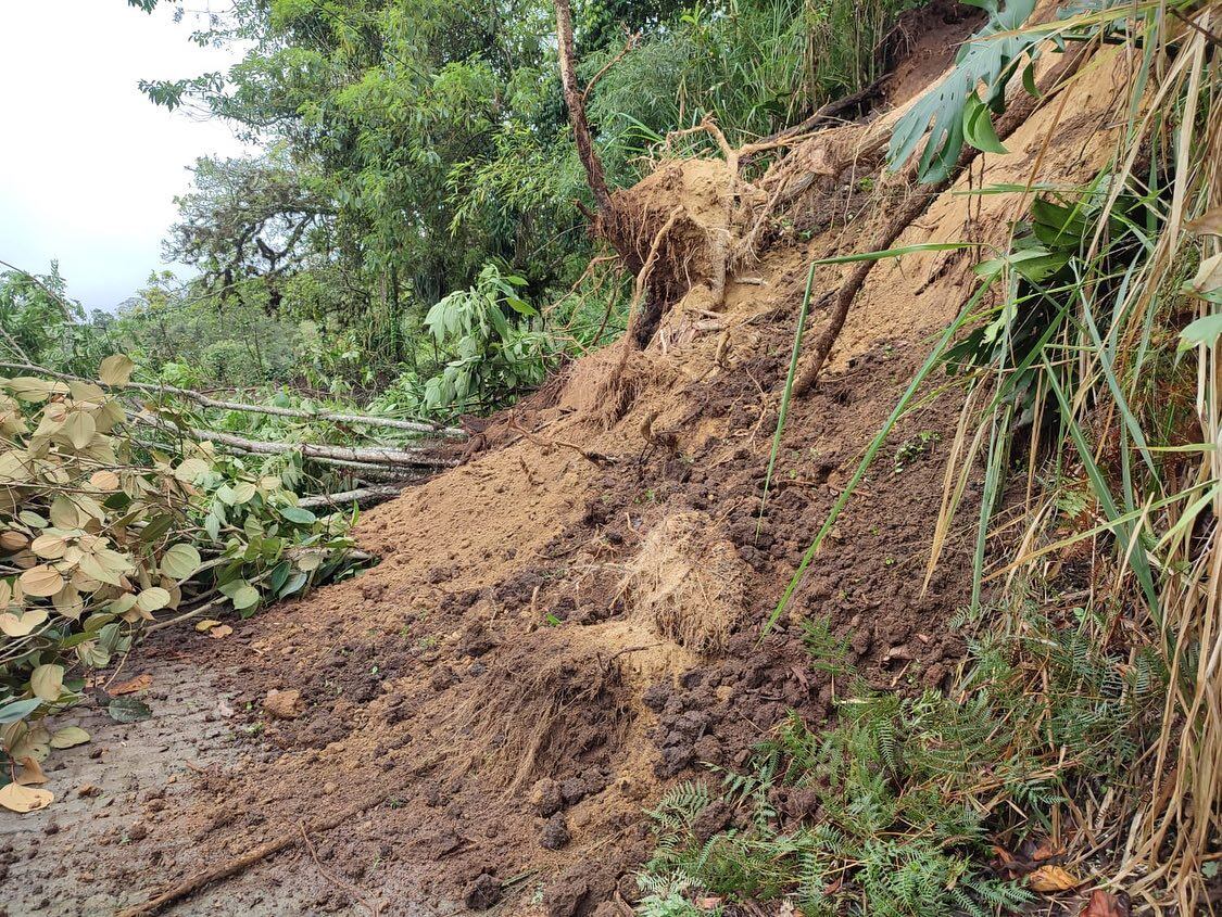 En la zona se presentó un deslizamiento de tierra y se cayó un árbol