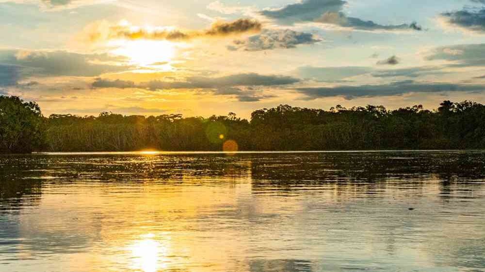 Desde el punto de vista climático, perder la Amazonía sería fatal y no solo para nosotros. Fotos: TNC.