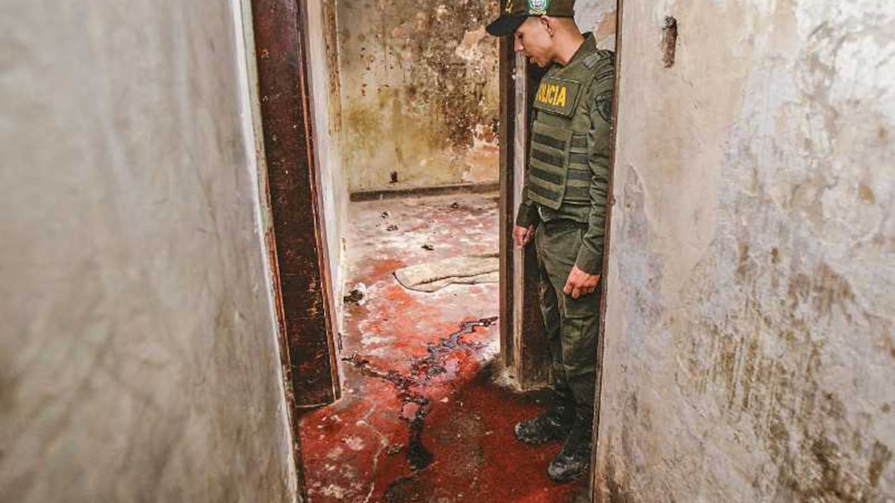 Los hallazgos del Bronx demuestran que no se han superado los niveles de crueldad del paramilitarismo.