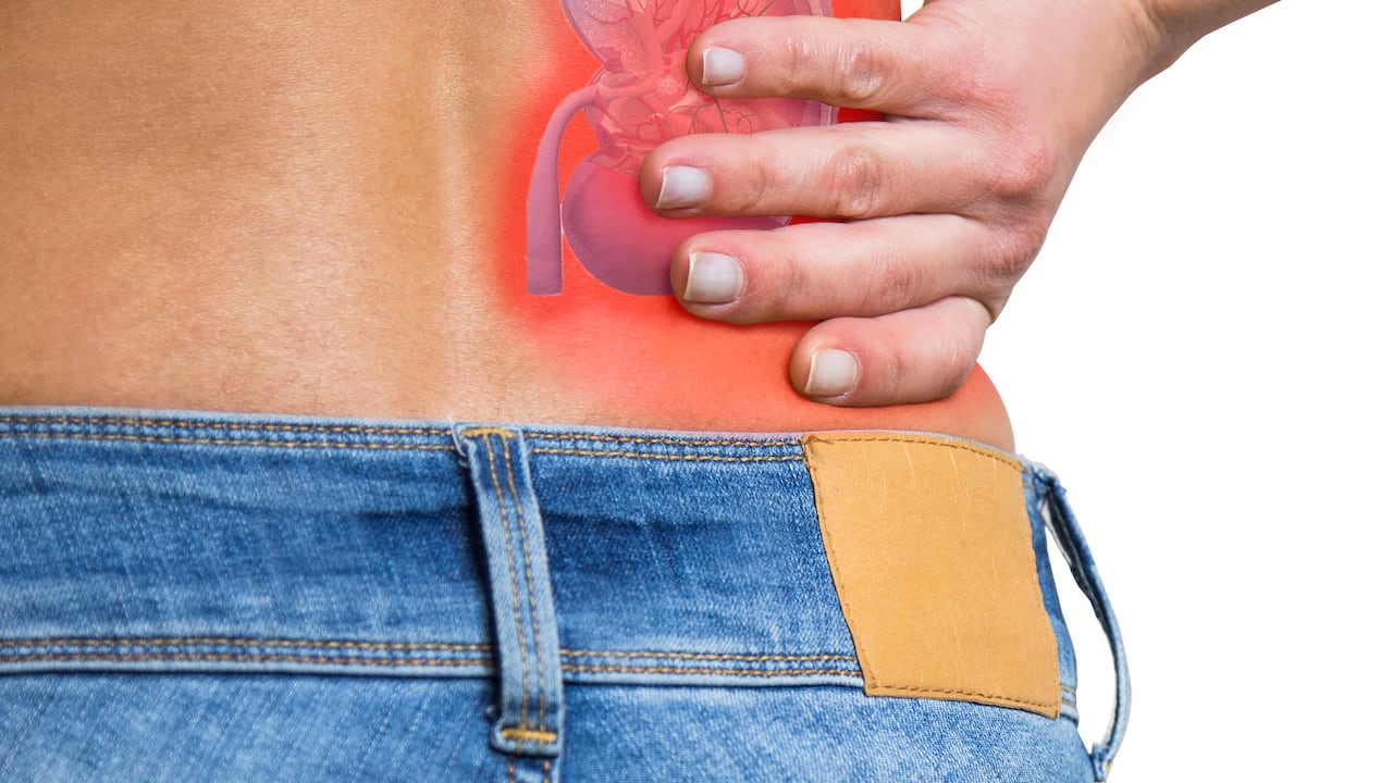 Los riñones son sensibles y hay algunas enfermedades que los afectan en gran manera.