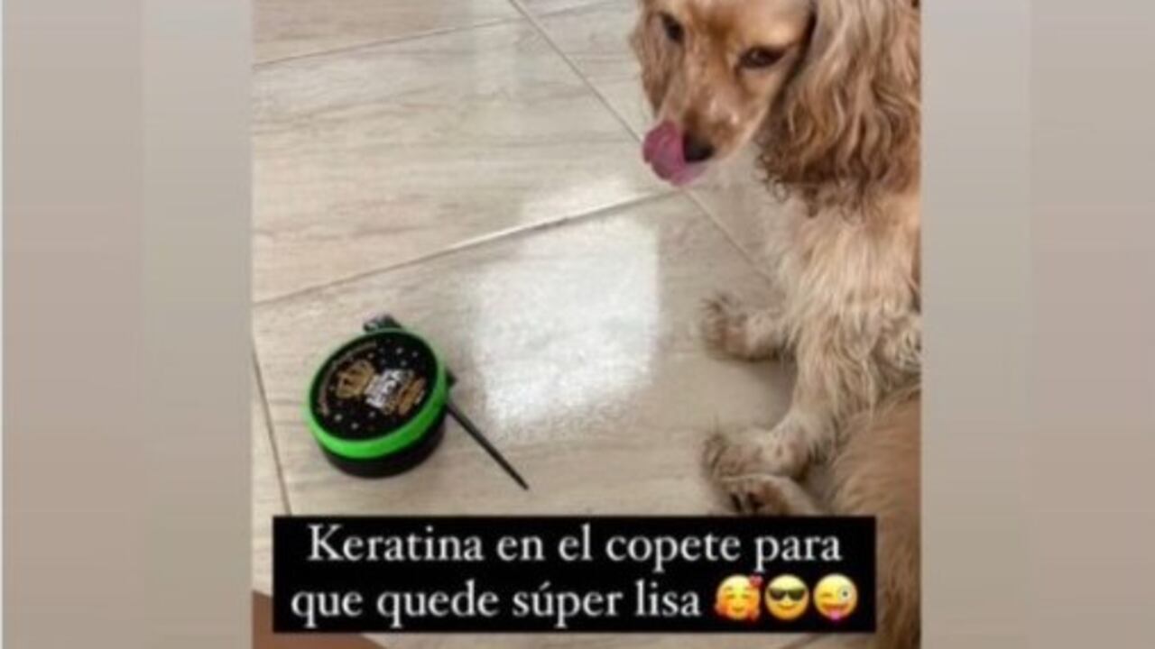 Críticas a Epa Colombia por compartir video en el que una seguidora le aplica sus keratinas a su mascota
