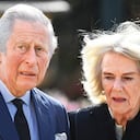 Al príncipe Carlos no se le augura un buen reinado si insiste en meterse en temas políticos. Además, él y su esposa, Camilla, no despiertan tanto fervor como la nueva generación.