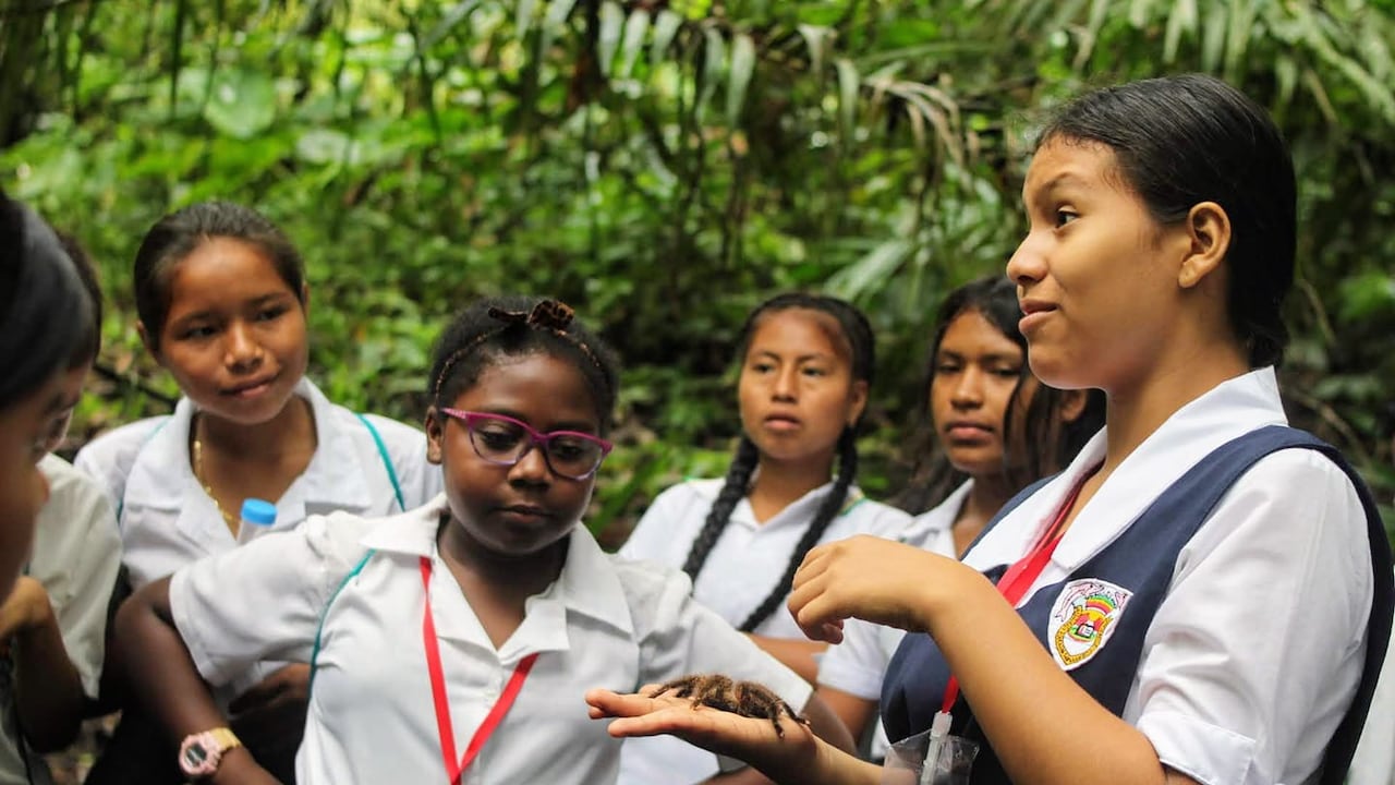 La iniciativa busca fomentar en niñas y adolescentes de comunidades indígenas, negras, afrocolombianas, raizales y palenqueras, el interés por las vocaciones científicas.