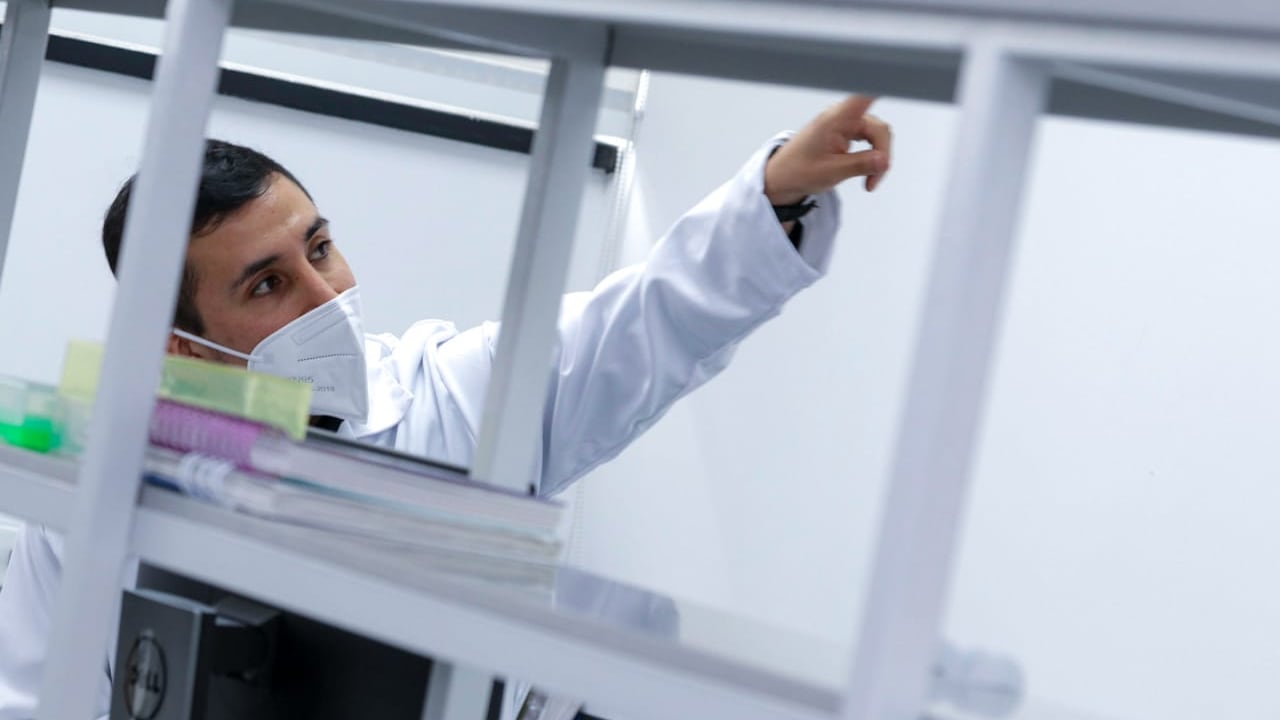 Ministerio de Ciencia, Tecnología e Información